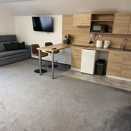 招待所 Cikovsky 3*